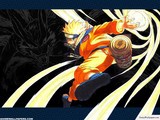 /album/galeria-de-fotos/a953-jpg/