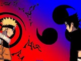 /album/galeria-de-fotos/a1016-jpg/